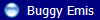   Buggy Emis